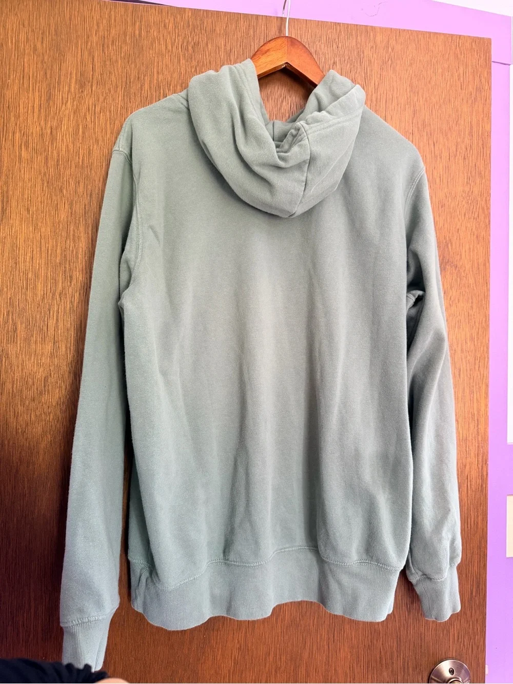 The North Face Men's Sage Green Crewneck Hoodie with Bear Graphic
